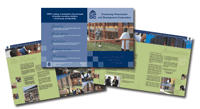 Brochure Design