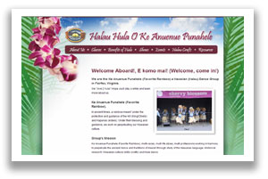 Web design Chantilly Virginia VA website designers application development