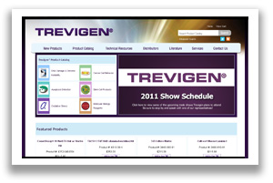 Web design Virginia website designers application development